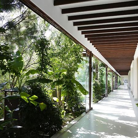 The Lifeco Bodrum Well-Being Detox Center And Vegan Hotel (Adults Only) 골터크부쿠 외부 사진