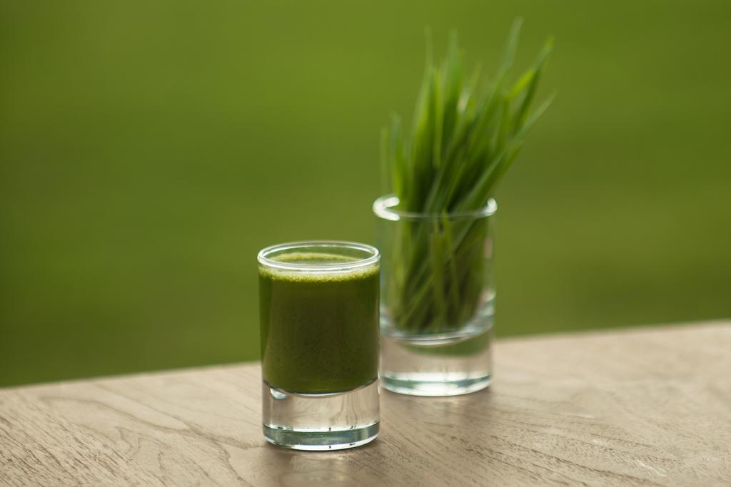 The Lifeco Bodrum Well-Being Detox Center And Vegan Hotel (Adults Only) 골터크부쿠 객실 사진