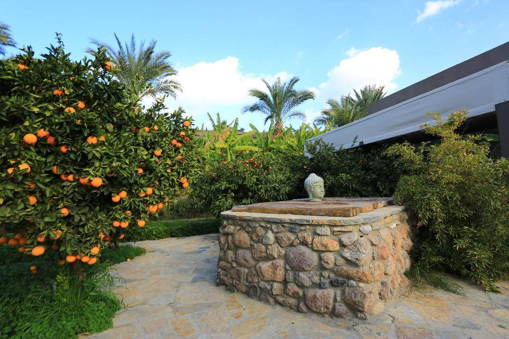 The Lifeco Bodrum Well-Being Detox Center And Vegan Hotel (Adults Only) 골터크부쿠 외부 사진